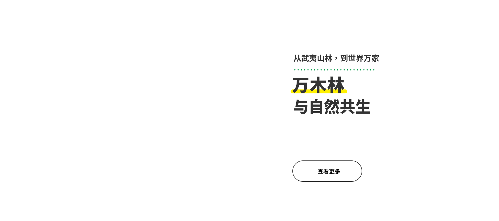 中2